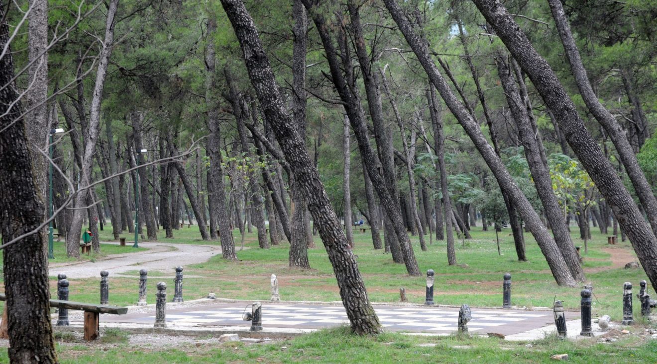 Pored Tološke: Planirana rekreativna zona, a niče višespratnica?