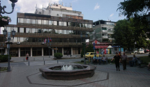 CES nova organizacija Crnogoraca u Srbiji
