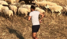 Slavni jugoslovenski košarkaš ima milione, a vozi traktor i čuva ovce