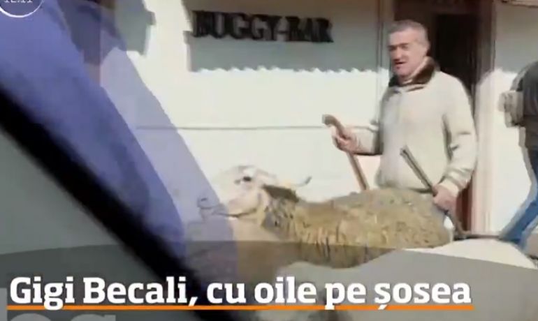 Điđi Bekali prošetao svoje ovce gradom...
