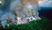 Brazil angažuje avione i 44 hiljade vojnika zbog požara