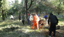 Akcija čišćenja i pošumljavanja na brdu Gorica