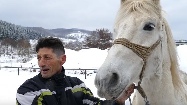 Zekan hit na društvenim mrežama: Ovaj konj obožava da jede bosanske ćevape