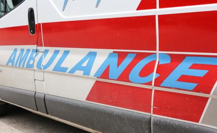 Ljudi se plaše ajkula i aviona, ali ovo je najveći "ubica" na svijetu