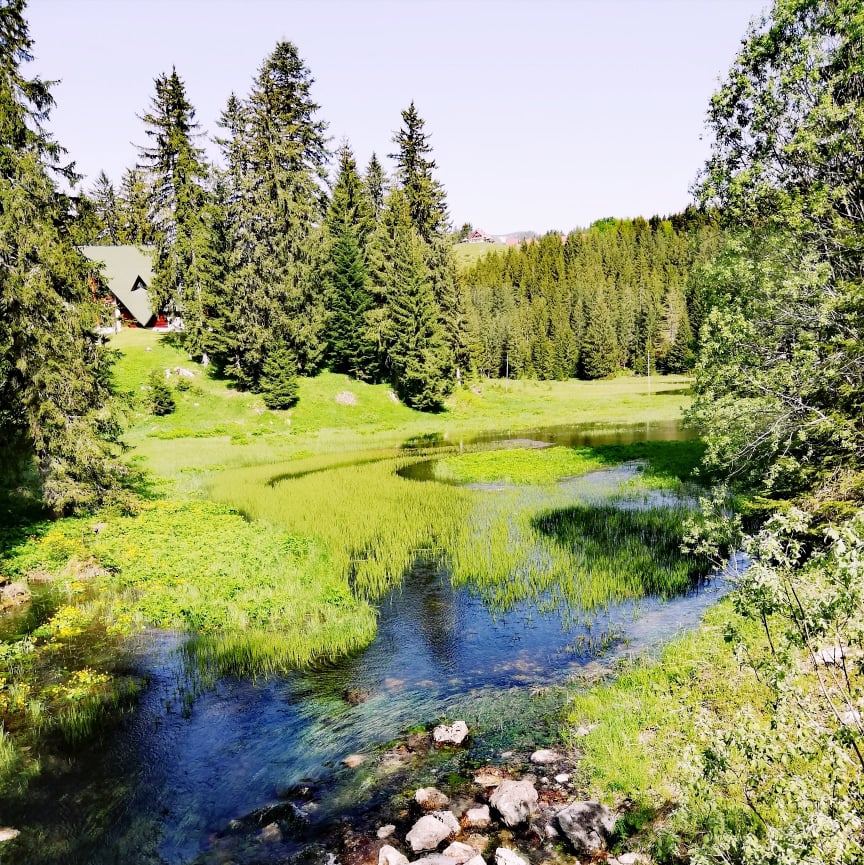 Razglednica sa Žabljaka: Najljepše gorske oči Durmitora