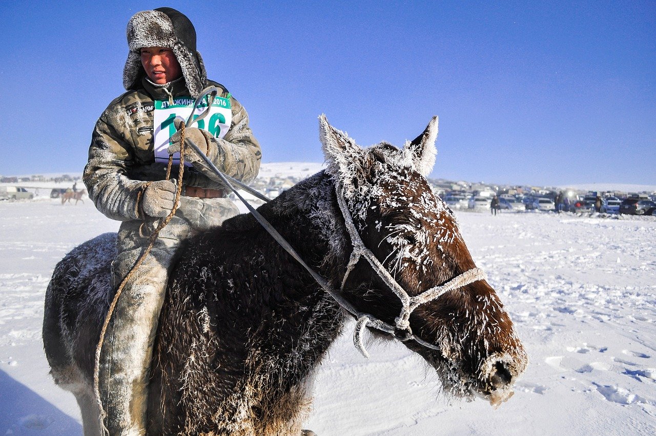 Ledeni dani u Mongoliji ubili  dva miliona životinja