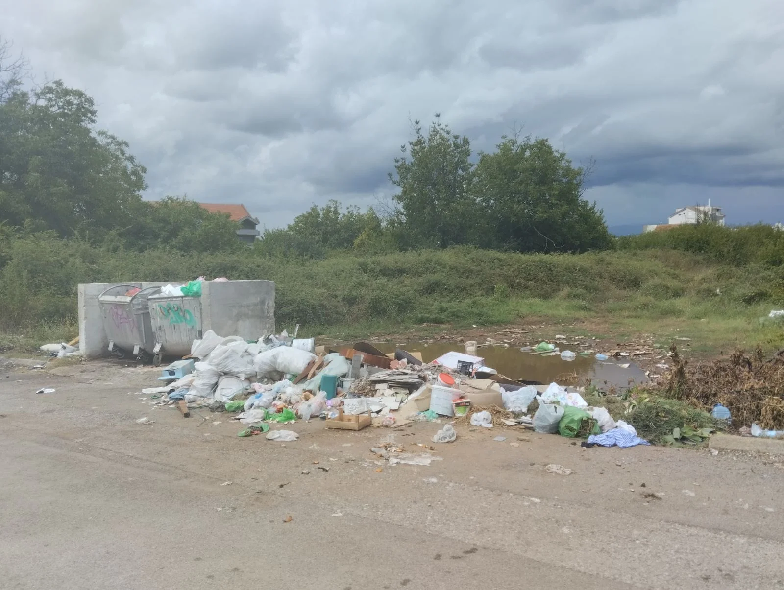 Kako cvjeta Podgorica