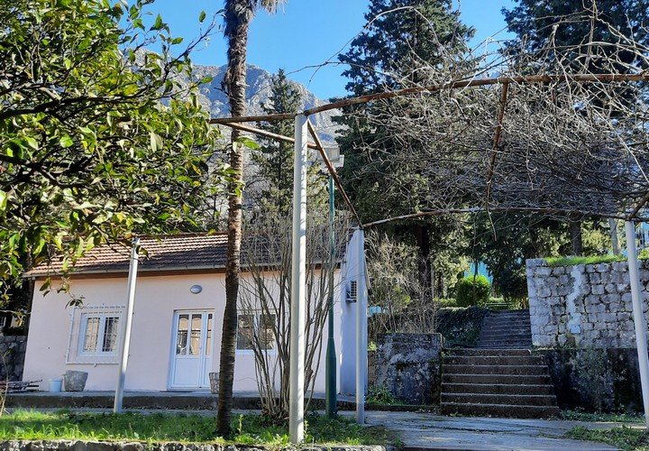 UP: Zbog sumnje za zloupotrebu službenog položaja uhapšen zaposleni na poslovima obezbjeđenja - Omogućio pacijentu napuštanje prostorija Specijalne bolnice u Dobroti