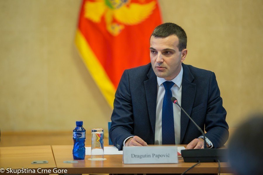 Papović: Zamjena termina "aneksija" sa terminom "ujedinjenje Crne Gore sa Srbijom" bezočno falsifikovanje istorijskih činjenica