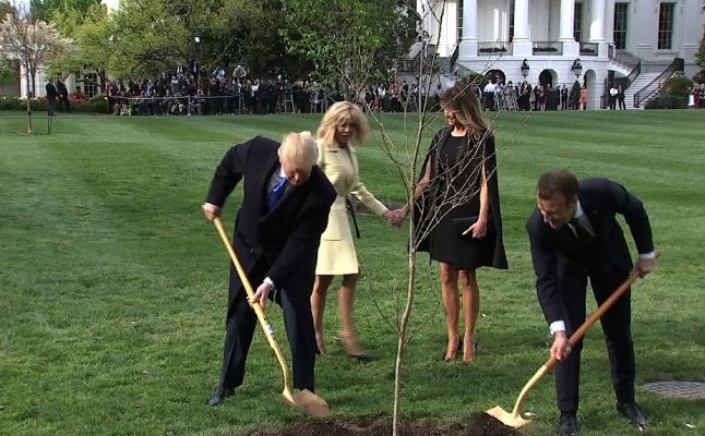 Makron šalje novo drvo prijateljstva Trampu