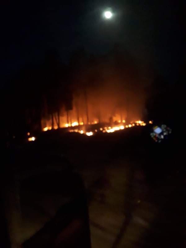 Požar u selu Borje pod kontrolom