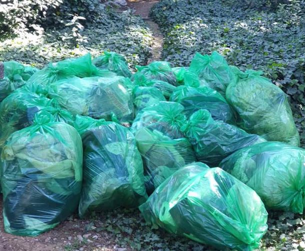 Radnici Čistoće čistili dvorište Dragana Šomija Roganovića