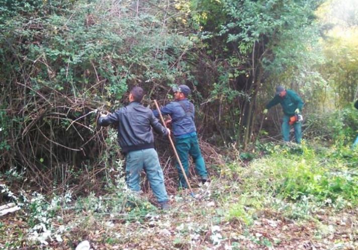 Ekipe "Zelenila" svakodnevno uređuju javne zelene površine