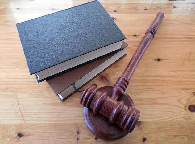 Viši sud preinačio presudu: Osuđen na kaznu zatvora od 11 mjeseci zbog mučenja psa