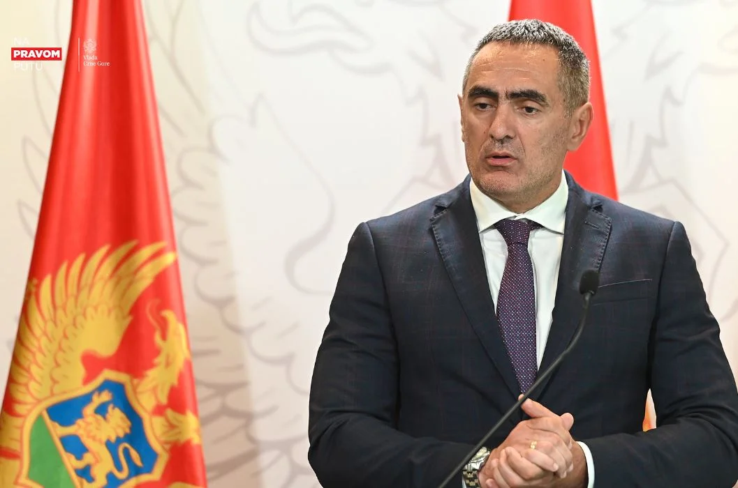 Damjanović: Zahtjevi nacionalnih savjeta za odlaganje popisa su političke prirode