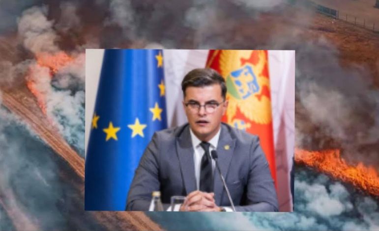 Zemlja gori a ministar ćuti: Zašto Šaranović ne traži kanadere od Hrvatske?