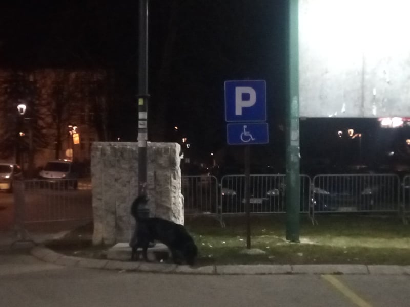 Premijeru Krivokapiću, molim Vas ugledajte se malo na Sebastijana Kurca