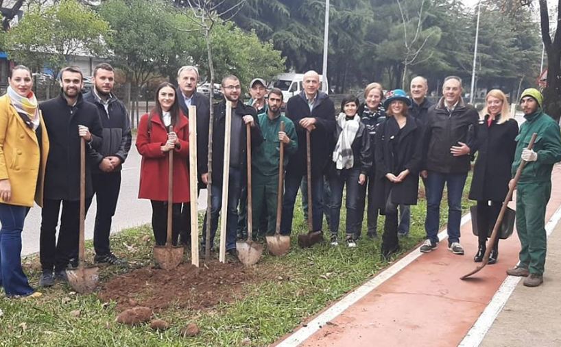 Podgorica: Zasađeno 13 sadnica košćele