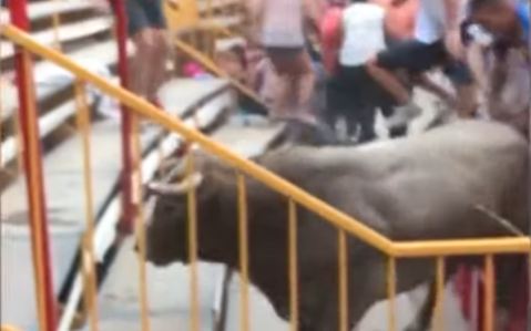 Stravične scene iz Španije: Bik uletio na tribine, 17 ljudi povrijeđeno