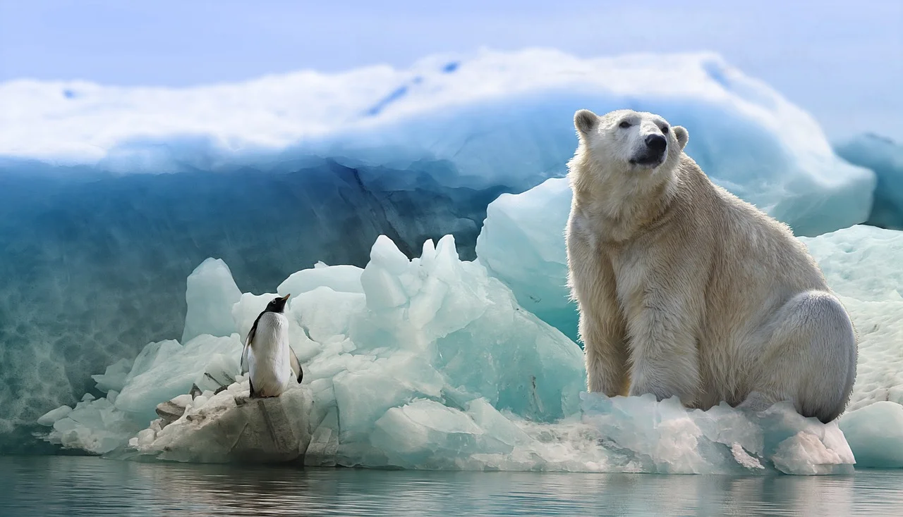 Čeka li nas uskoro svijet bez polarnih medvjeda