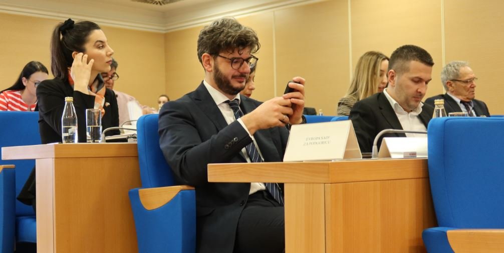 Čarapić: Izbor sudija Ustavnog suda test za sve poslanike