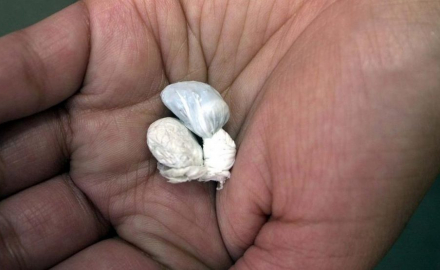 Istraživanje: Oko 16 odsto djece tvrdi da se droga konzumira u školama