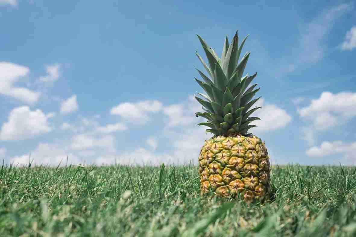 Svjež ili u vidu soka ananas: Efektniji od sirupa za kašalj