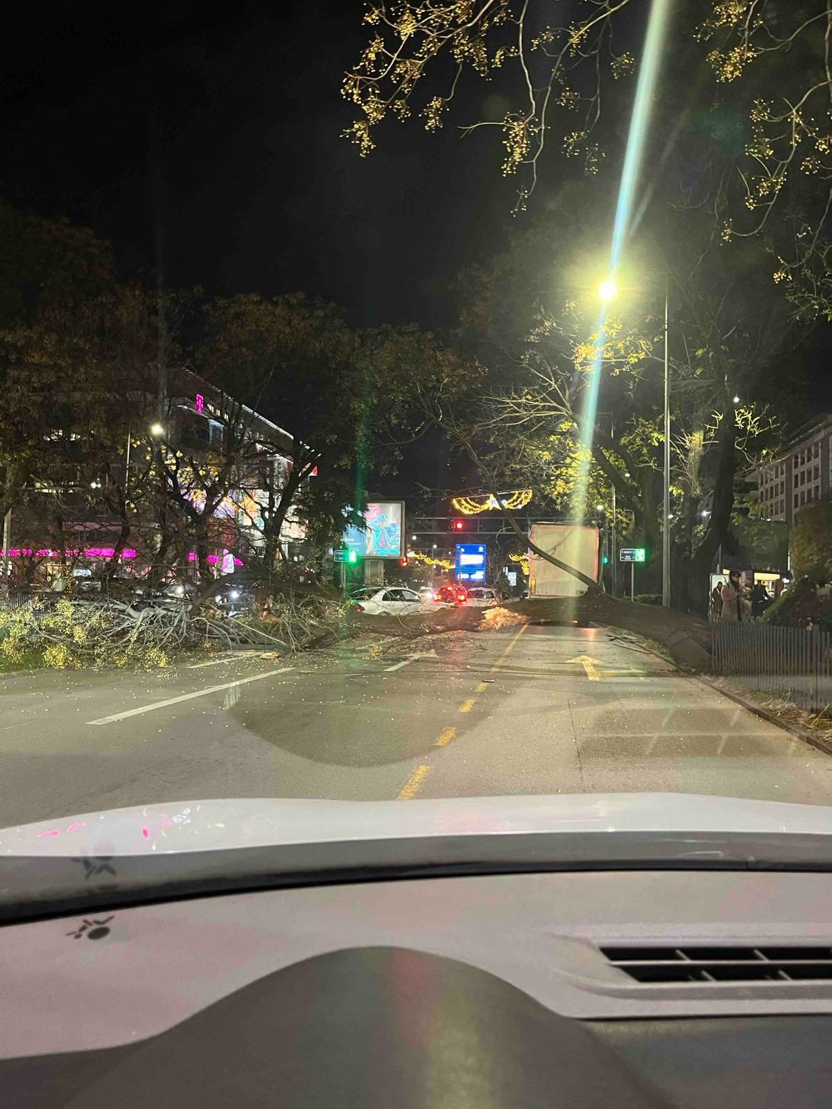 Zbog oborenog stabla na podgoričkom bulevaru bio otežan saobraćaj, u jednom trenutku  se zaglavio i autobus