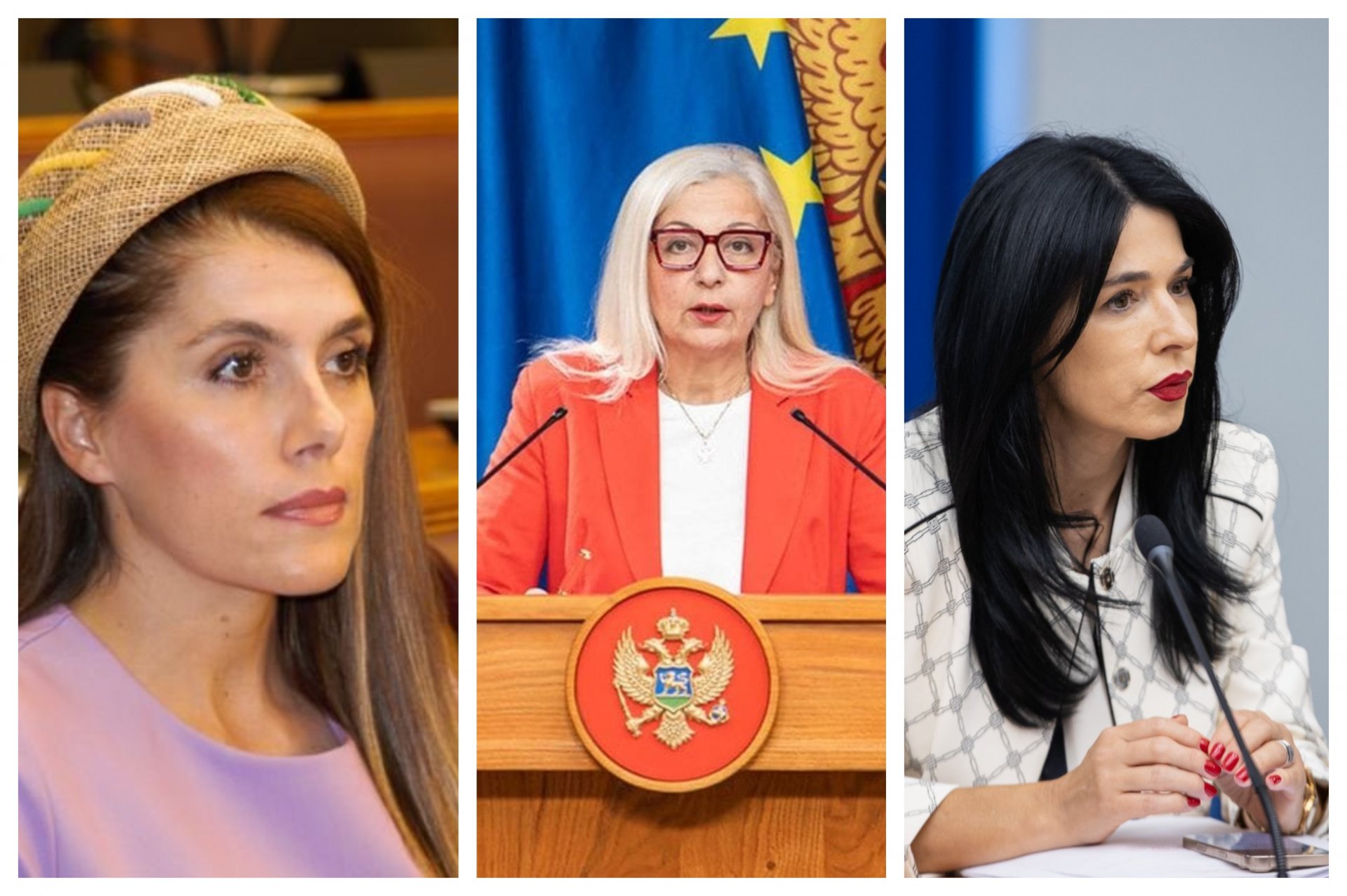 Poslanice DPS-a: I septembar prođe, ministarka Vujović u matični odbor ne dođe