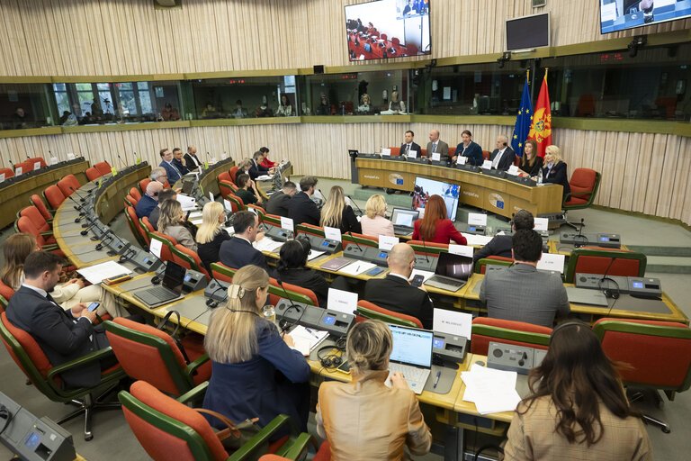 Sastanak POSP-a u Strazburu: Istaknuta podrška Evropske unije Crnoj Gori  za što skorije članstvo