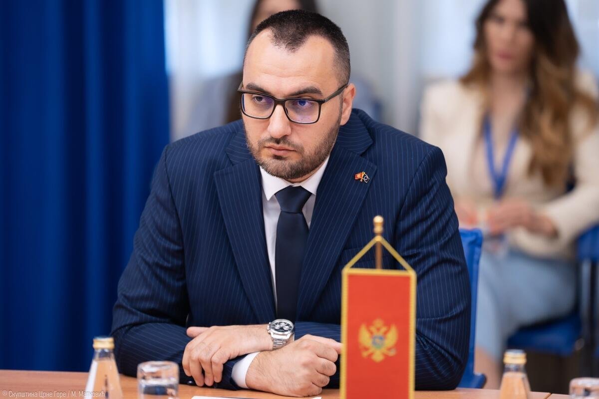 Demokrate nastavile provociranje susjeda: Stjepović se u Danskoj obrušio na Hrvatsku