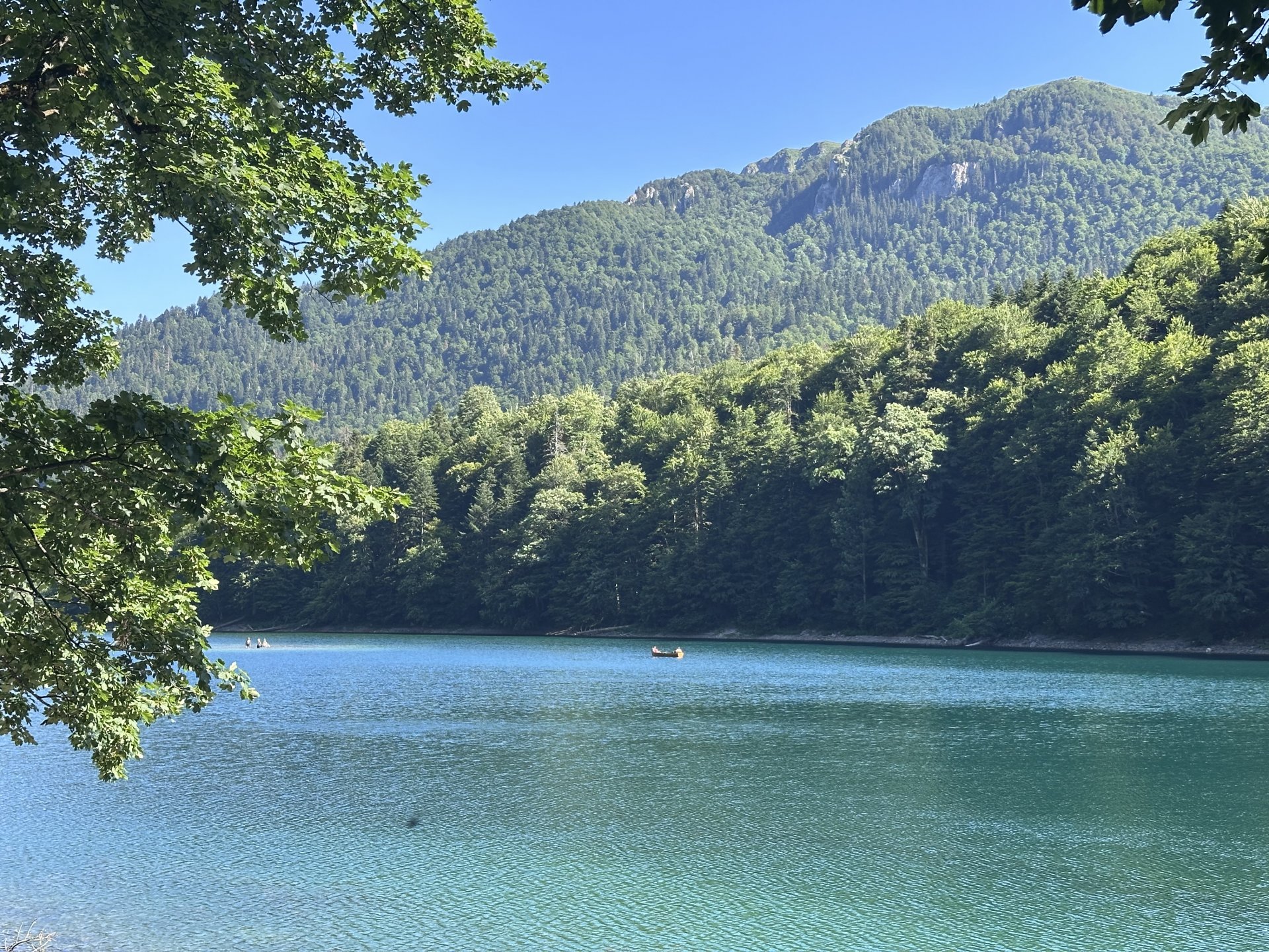 Beranac osumnjičen da je bez dokumentacije sagradio vikendicu u NP Biogradska gora