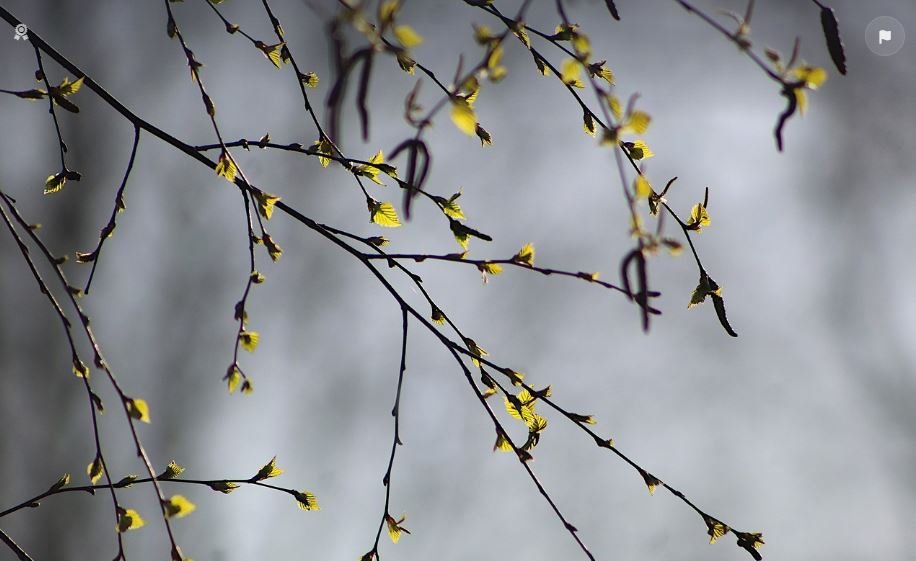 Vrijeme sjutra: Osjetno hladnije