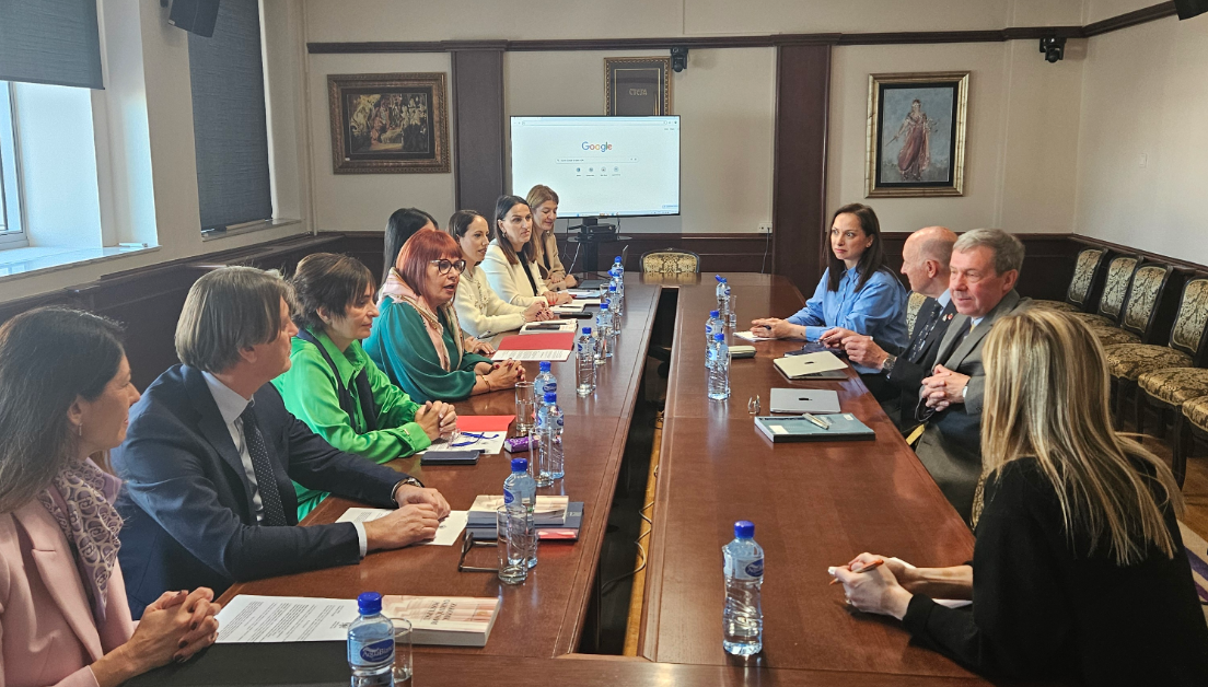 Počela izrada Smjernica za izricanje krivičnih sankcija u predmetima teškog i organizovanog kriminala