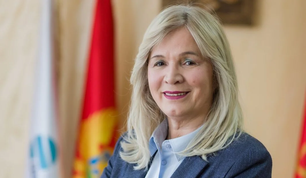 Đurović: Milatovićeva platforma liči na predizbornu poruku partije u osnivanju