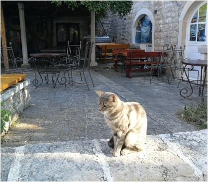 Danas vjetrovito, do 21 stepen