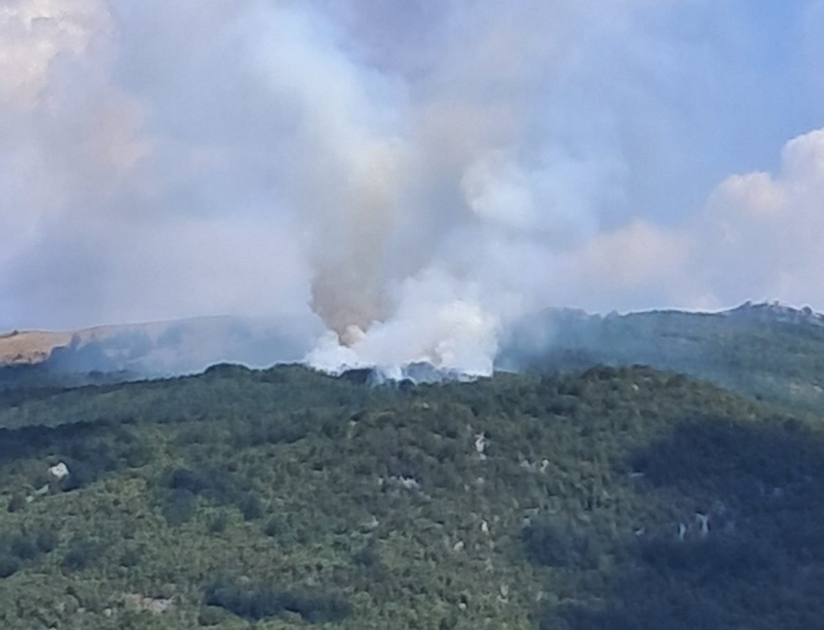 Požar u Nikšiću gasi avion iz Emirata, na terenu i vojni helikopteri