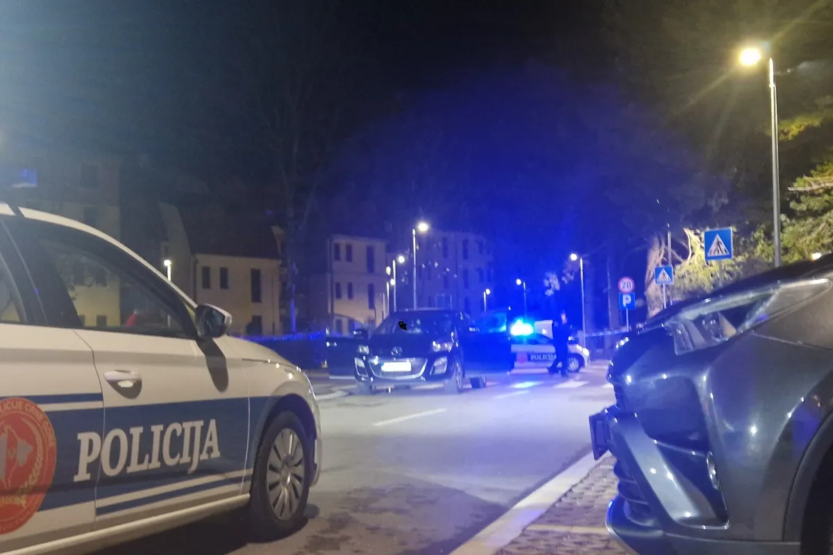 Cetinje: Dvije osobe uhapšene zbog ubistva Ilije Bogdanovića