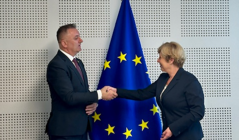 Gutić se sastao sa poslanicom Evropskog parlamenta Romanom Tomc u Briselu