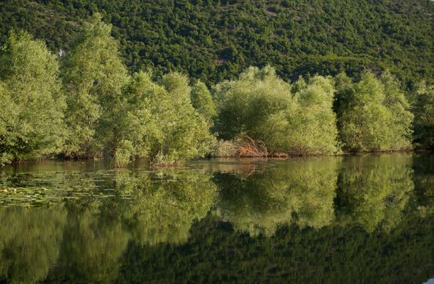 U NP Skadarsko jezero spriječen nezakonit izlov ribe, procesuirano pet osoba