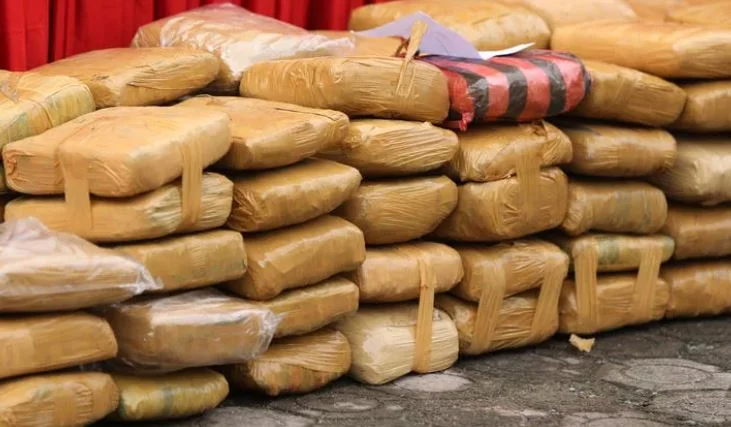 Sarajevo: Zaplijenjena 52 kilograma kokaina