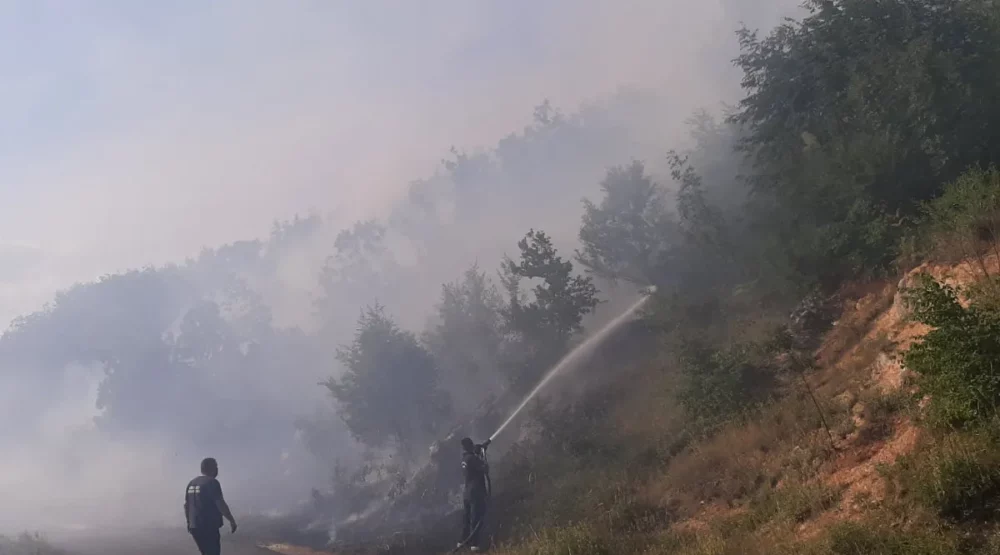 Cetinje: Požar na Obzovici, vatrogasci na terenu