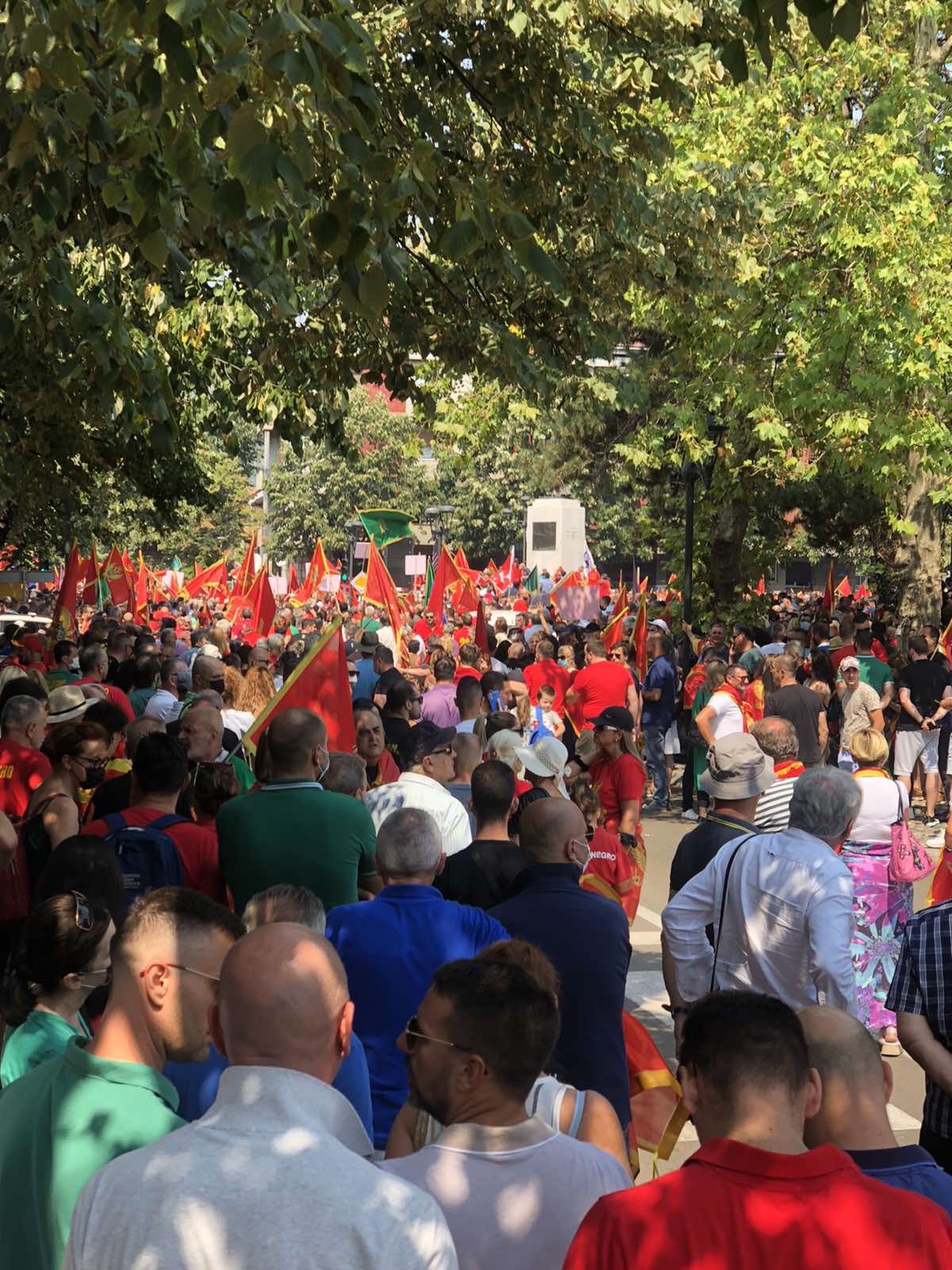 Dokle Gora zazeleni