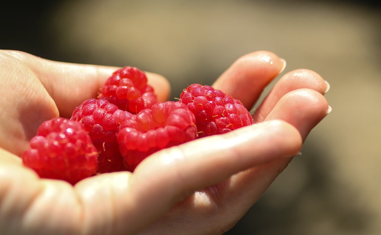 Naučnici: Mirisanje zrelog voća zaustavlja rast stanica raka