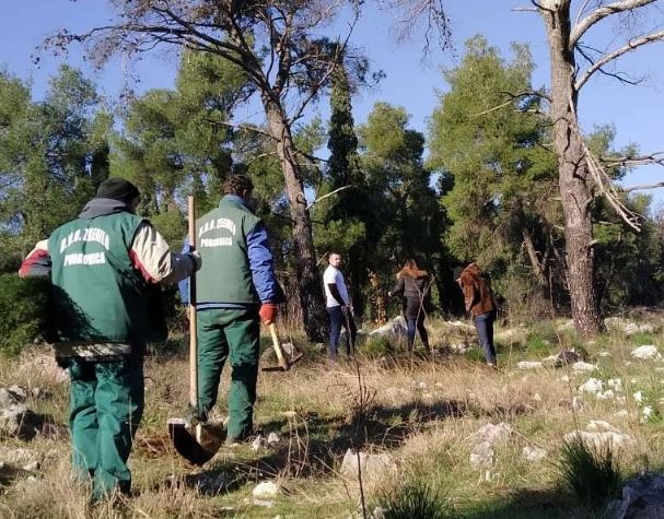 Još jedna akcija pošumljavanja u park-šumi Ljubović