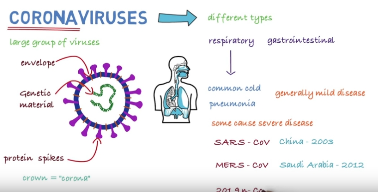 Informišite se: Šta je koronavirus, simptomi, širenje, prevencija...