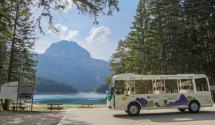 Novo u turističkoj ponudi Žabljaka – električni autobus