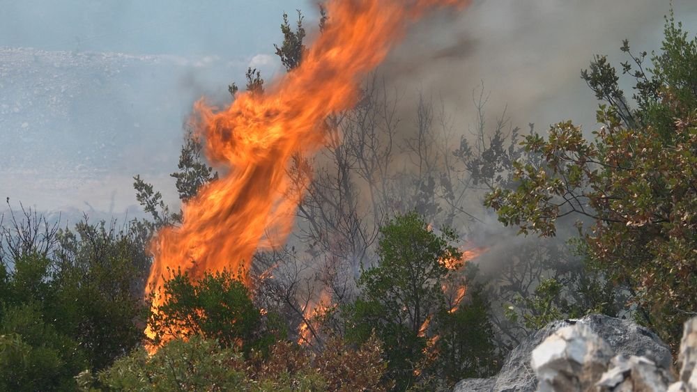 Požar u Čanju ugašen, Vulević pozvao građane na odgovorno ponašanje