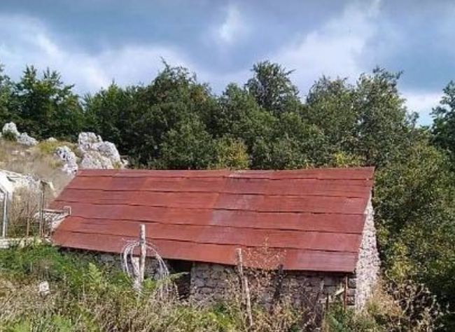 Zločin nad Zvicerima: Stradanje nedužnih vječna je kletva