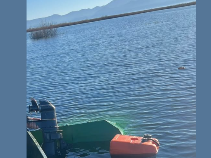 VIDEO Nadzornici spasili tri osobe na Skadarskom jezeru